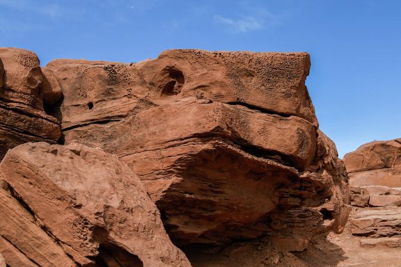 Third Place Tie - Horny Toad Formation Capitol Reef - Anthony Sacco