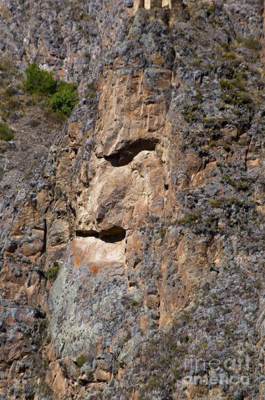 Third Place Tie - Mountain Man - Bob Phillips