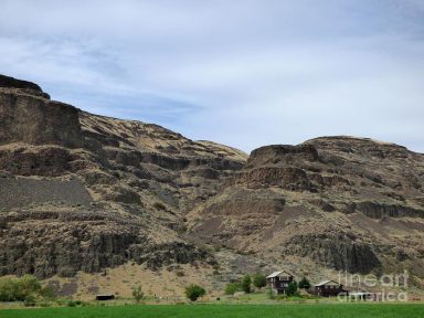The basalt cliffs of Moses Coulee